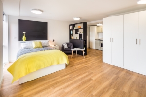 Bronze deluxe bedroom